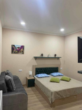 Apartment on toidze